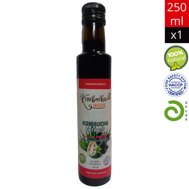 Car-Din Booster 250 ml Natural Cardio Inmune Desintoxicar Cuerpo con Kombucha, botella